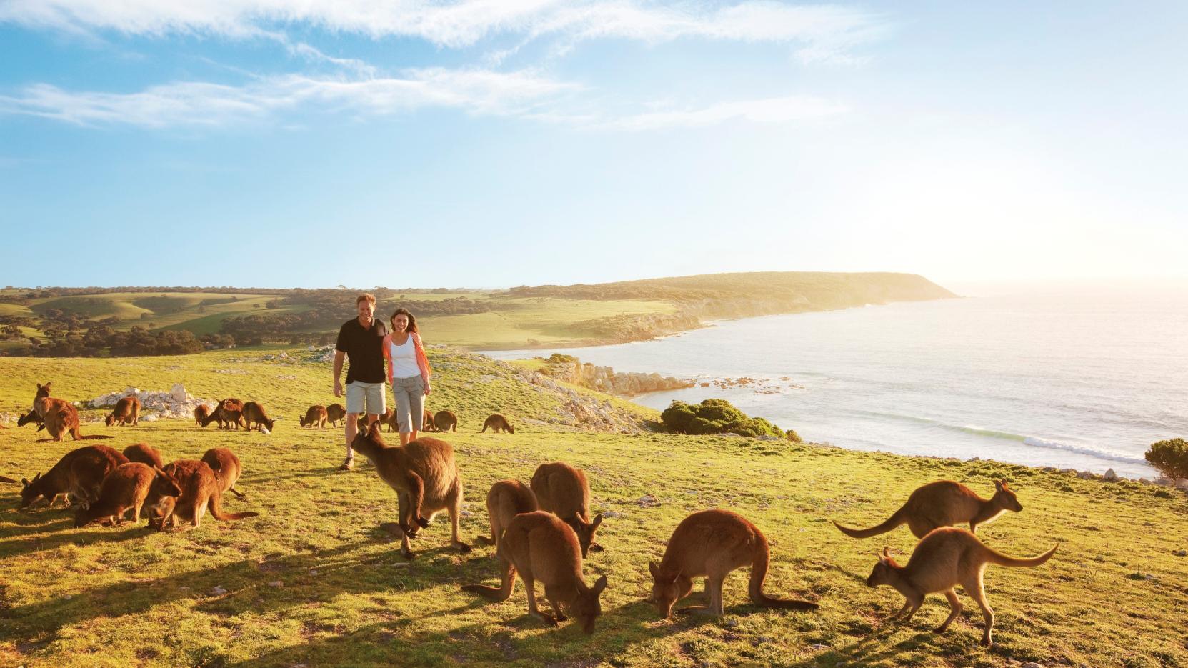 Australia: Becas Para Licenciatura y Posgrado en Diversos Temas Macquarie University