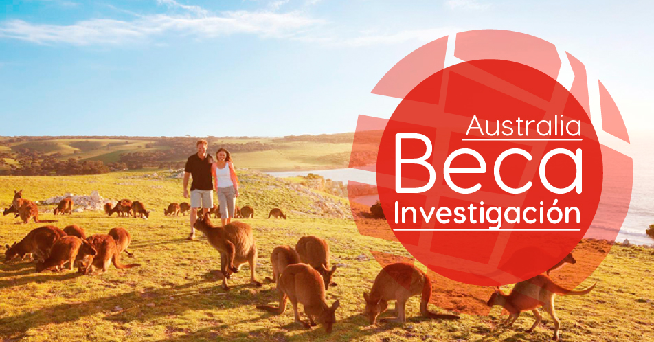 Australia: Becas Para Investigación en Diversos Temas The University of Adelaide